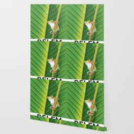 Cute Frog Wallpaper For Any Decor Style Society6