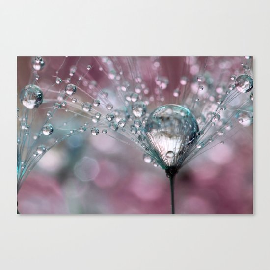 Rasberry Sparkles Canvas Print