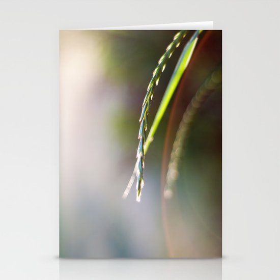 Evening Light Stationery Cards