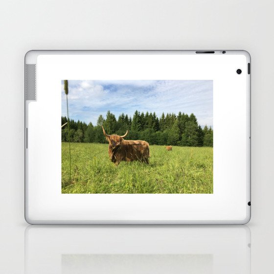 Fluffy Highland Cattle Cow 1181 Laptop & iPad Skin