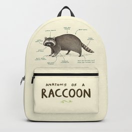 Anatomy of a Raccoon Backpack