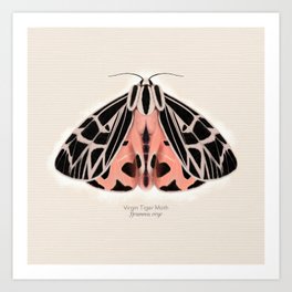 Virgin Tiger Moth Art Print