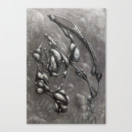 Form in space Canvas Print