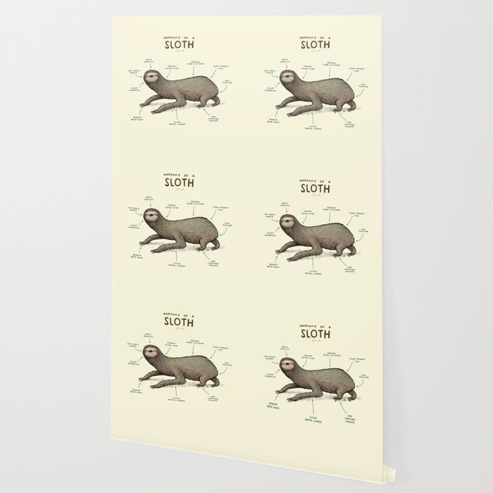Anatomy Of A Sloth Wallpaper By Sophiecorrigan Society6
