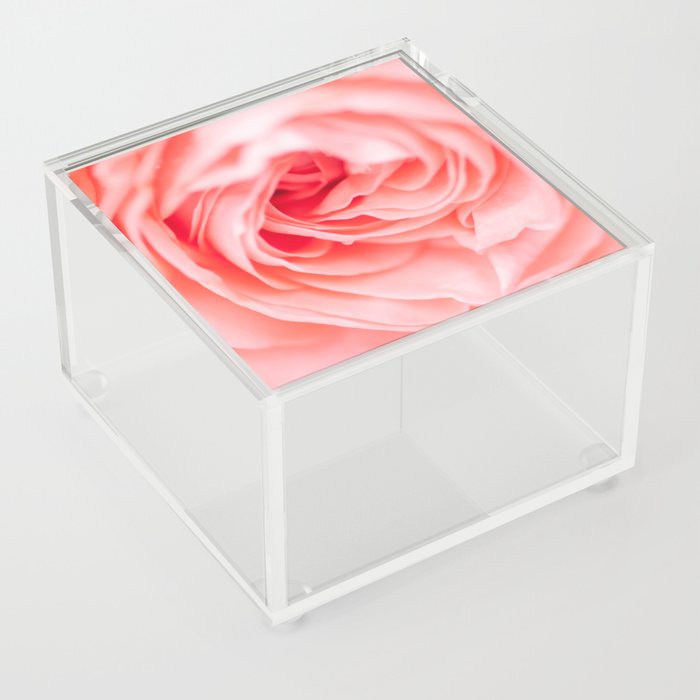 macro shot of beautiful pink rose flower Acrylic Box