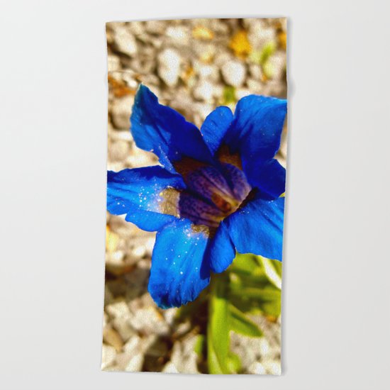 From the Ground Beach Towel
