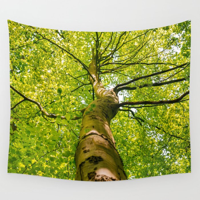 Sunlight Through Green Tree Crown Wall Tapestry