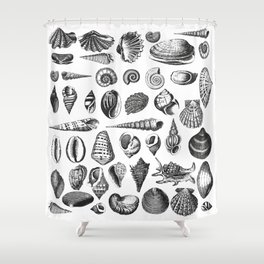 Vintage Sea Shell Drawing Black And White Shower Curtain