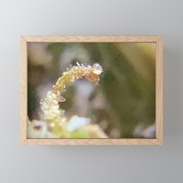 Sacred Garden Collection~Luna Uno Framed Mini Art Print
