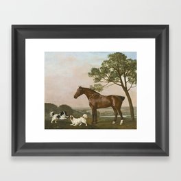  bay hunter horse with two playful spaniels by George Stubbs Framed Art Print
