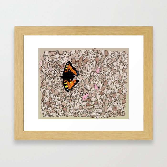 Butterfly on a stone wall Framed Art Print