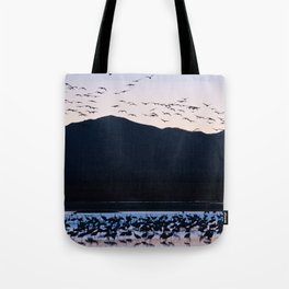 Sandhill Cranes At Whitewater Draw Tote Bag