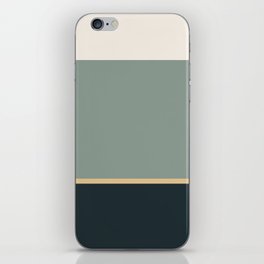 Contemporary Color Block LV iPhone Skin