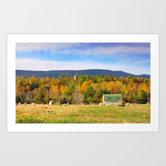 Barn in Field, Mt. Jackson, VA Art Print