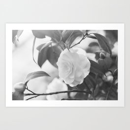 Once in a While - Black and White Flower Art Print