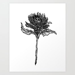 Savage Garden Art Print