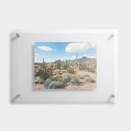 Desert Plant Growth Floating Acrylic Print | Plants, Spring, Outdoors, Wildflowers, Arizona, Mountains, Desert, Photo, Landscape, Cactus 