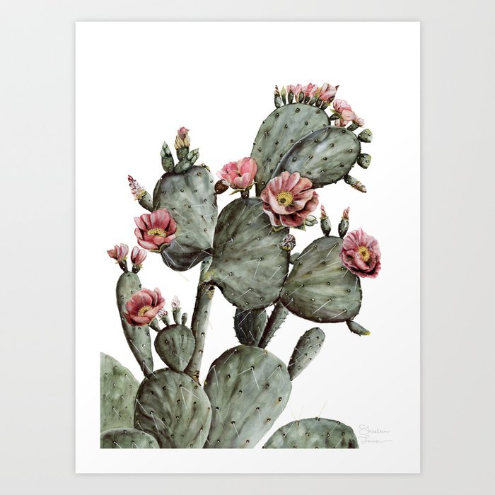 Prickly Pear Cactus Painting Art Print By Shealeenlouise Society6