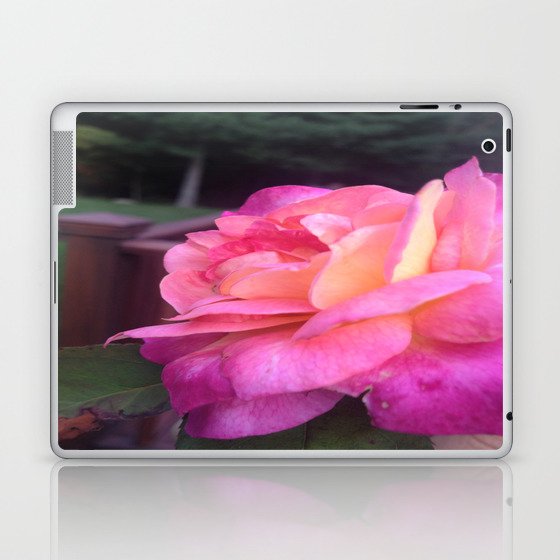 Roses in Rhode Island Laptop & iPad Skin