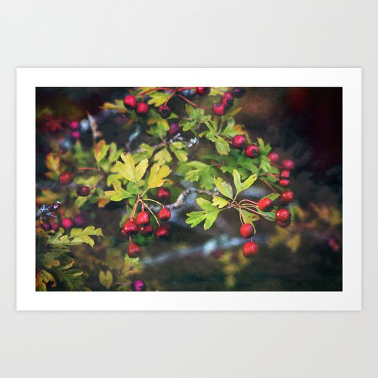 autumn berries Art Print