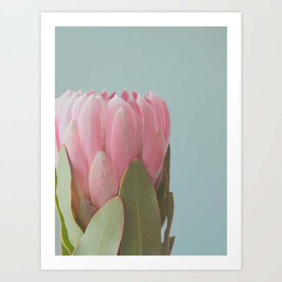 Pink Flower Art Print