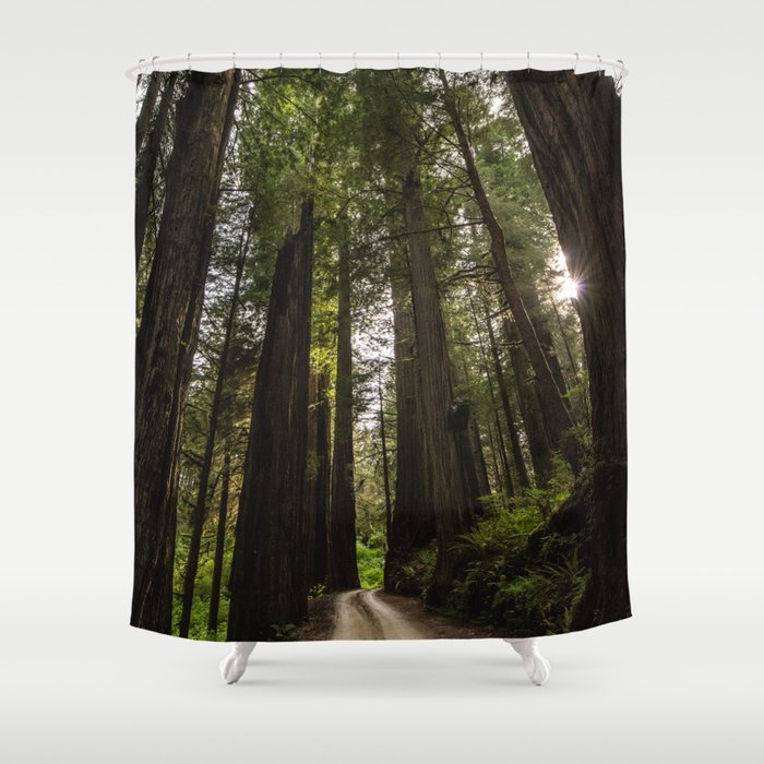 Redwoods Make Me Smile - Nature Photography Shower Curtain