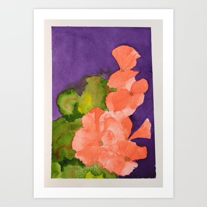 Salmon Pink Geranium Falls, Watercolor Flowers Art Print