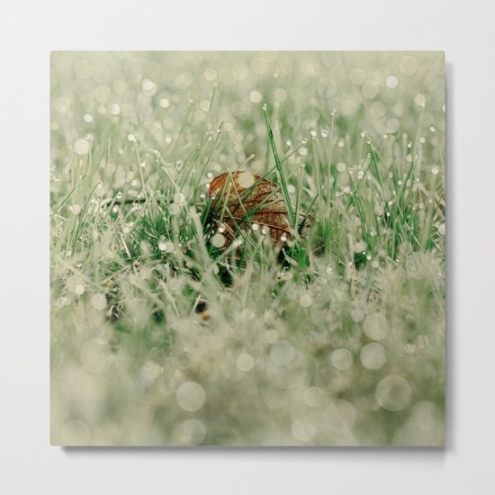 in dream land Metal Print