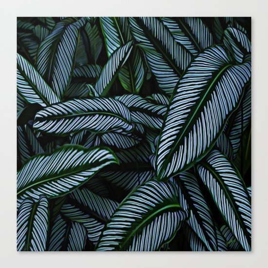 Night Tropic 5 Canvas Print