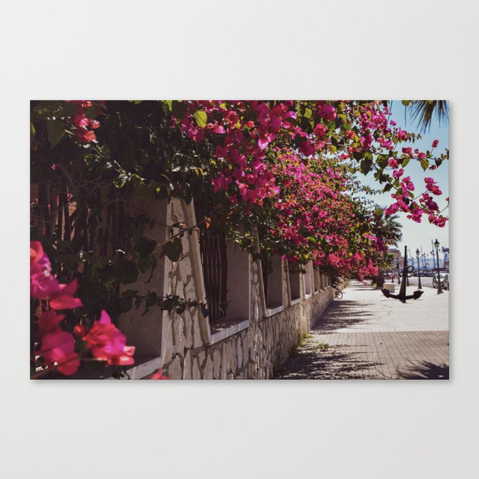 Canvas Print