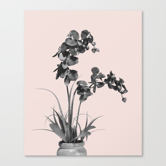 Summer orchid bloom Canvas Print