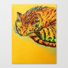 Cat Shimmie (ochre paper)  Canvas Print