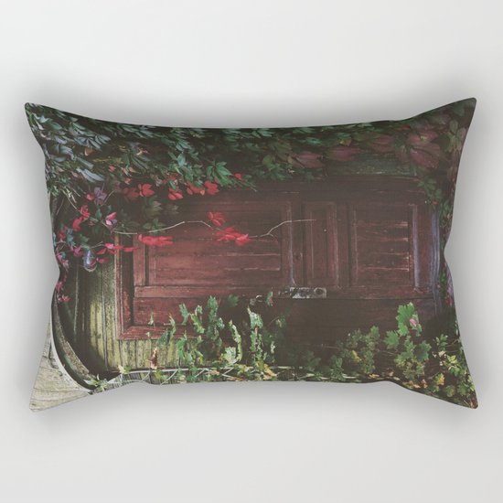 Secret Door Rectangular Pillow
