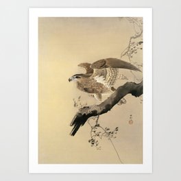 Ohara Koson, Hawk On The Tree Branch - Japanese Vintage Woodblock Print Art Print
