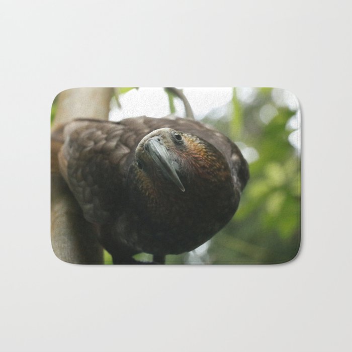 Kaka : New Zealand Endemic Bath Mat