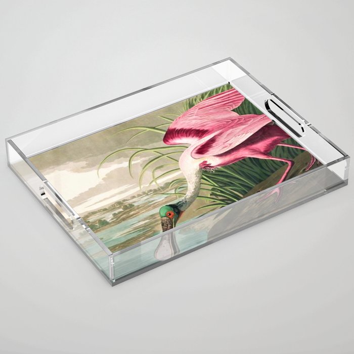  John James Audubon Acrylic Tray