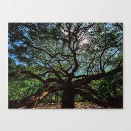 Tree of life Canvas Print