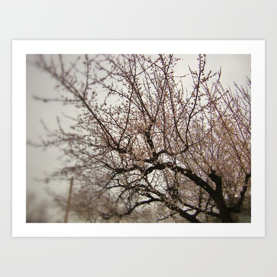 tickle me pink Art Print