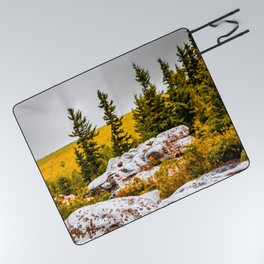 Dolly Sods Wilderness West Virginia Forest Mountains Pine Trees Nature Landscape Picnic Blanket