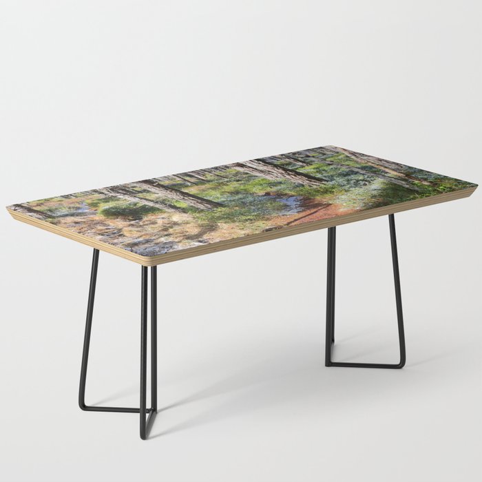 Scottish Highlands Spring Nature Scene in I Art Coffee Table