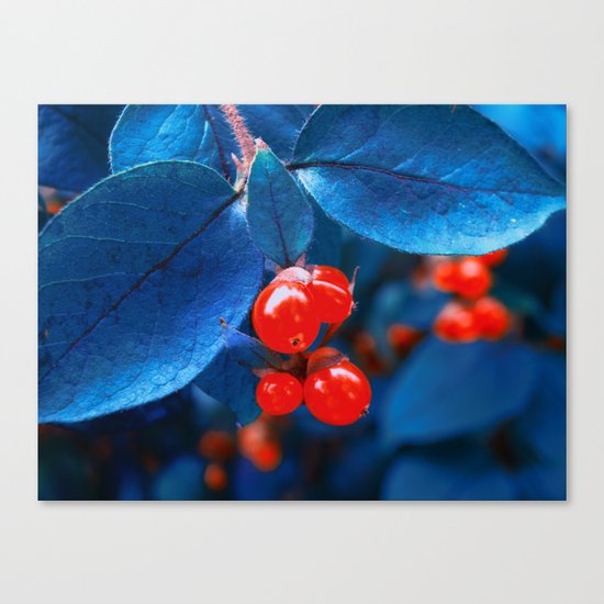 Garden Red Lamps Canvas Print