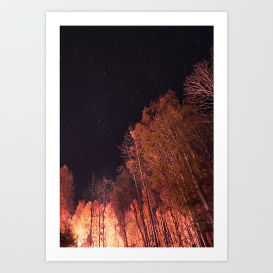 Firey woods Art Print