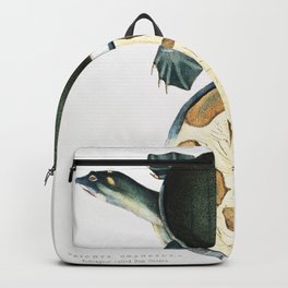 Valvular Trionyx (Emyda punctata) Backpack