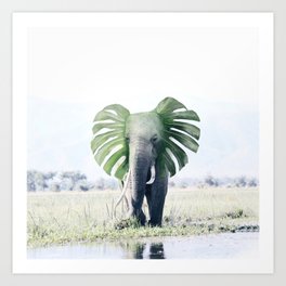 Monstera Elephant Kunstdrucke