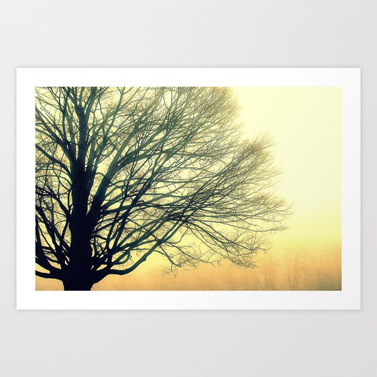 Foggy Morning 3 Art Print