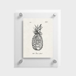 Power plant - Pineapple Floating Acrylic Print