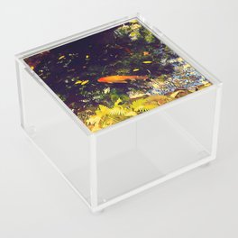 Koi Gold Acrylic Box