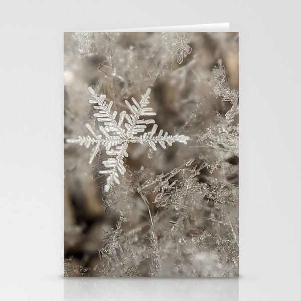 macro snowflakes Stationery Cards