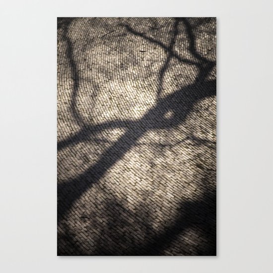 Shadow Canvas Print