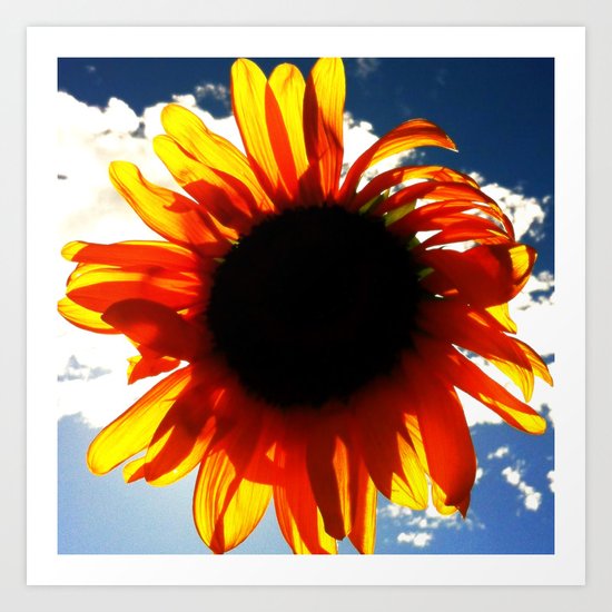FLOWER 033 Art Print